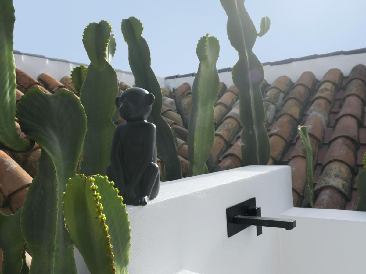 Old City Center Penthouse Malaga Exterior photo